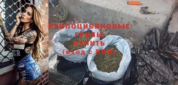 крисы Медвежьегорск