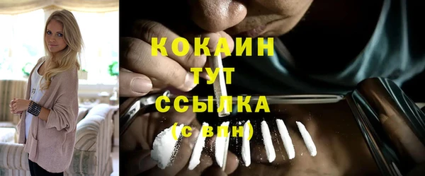 крисы Медвежьегорск