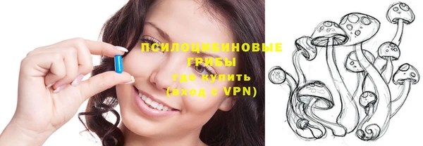крисы Медвежьегорск