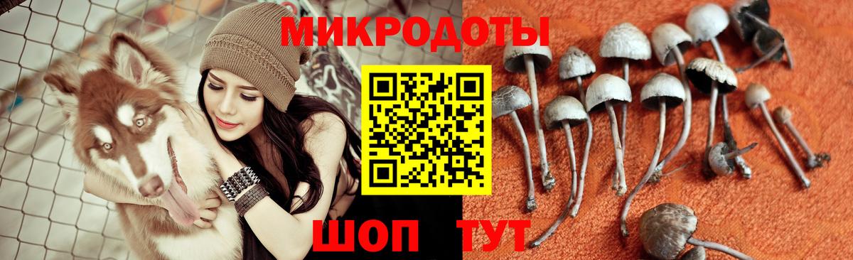 Комсомольск-на-Амуре  Псилоцибиновые грибы мицелий  Вход с VPN 
